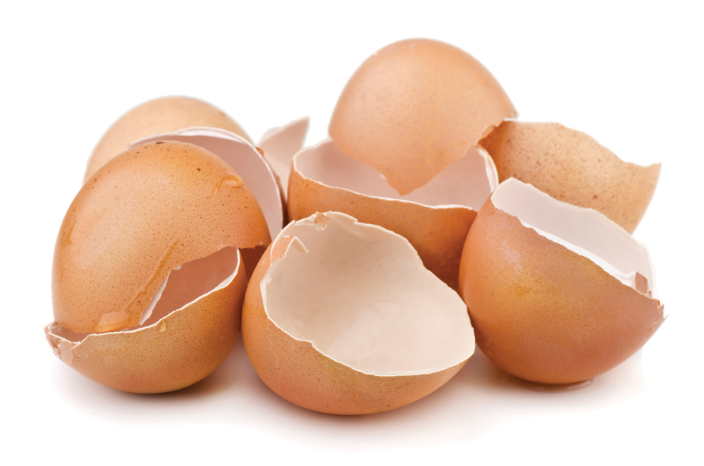 5 useful ways to use eggshells around the home